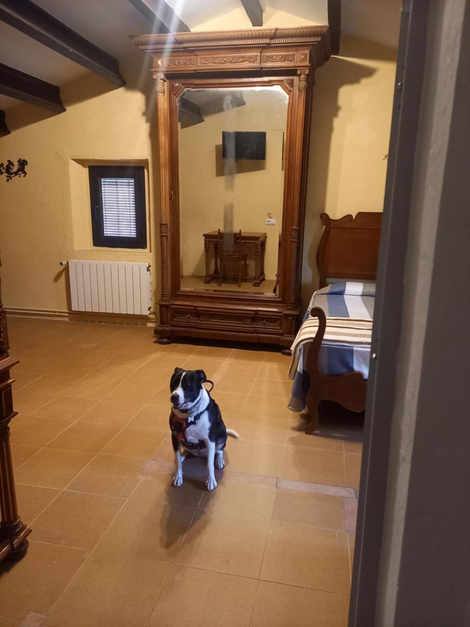 Hostal Rural Mas Blanc San Martin de Centellas Luaran gambar