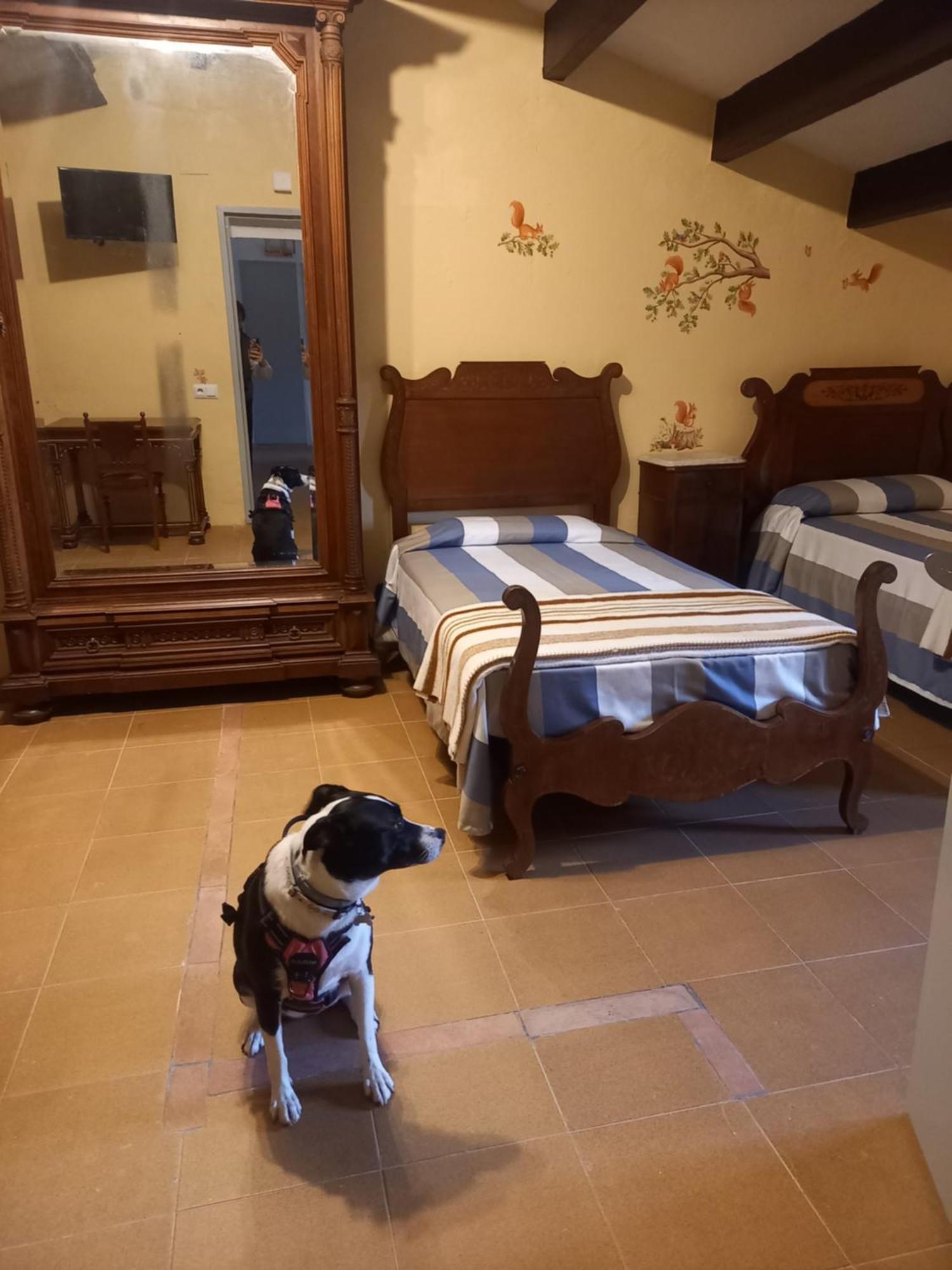 Hostal Rural Mas Blanc San Martin de Centellas Luaran gambar