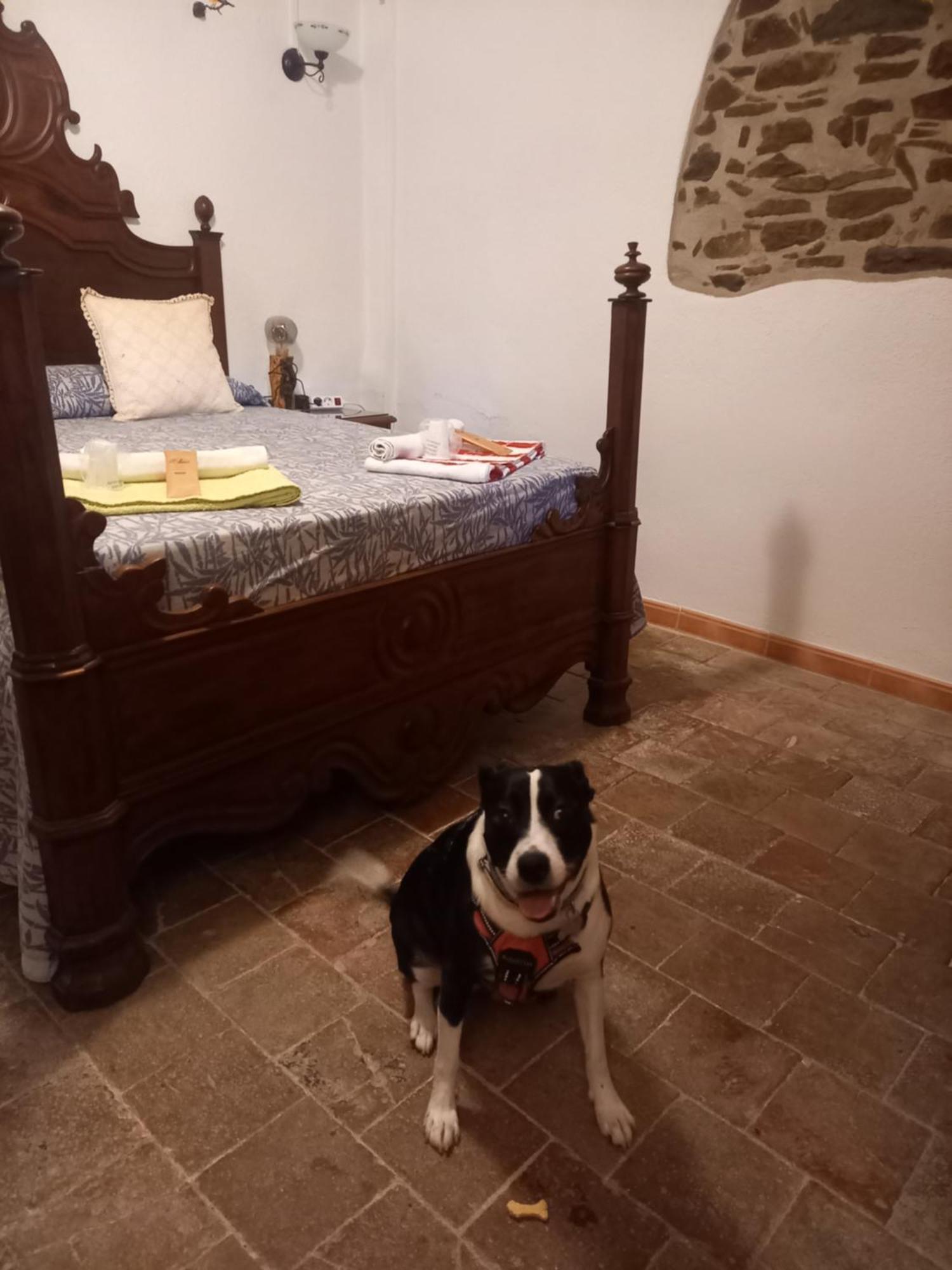 Hostal Rural Mas Blanc San Martin de Centellas Luaran gambar