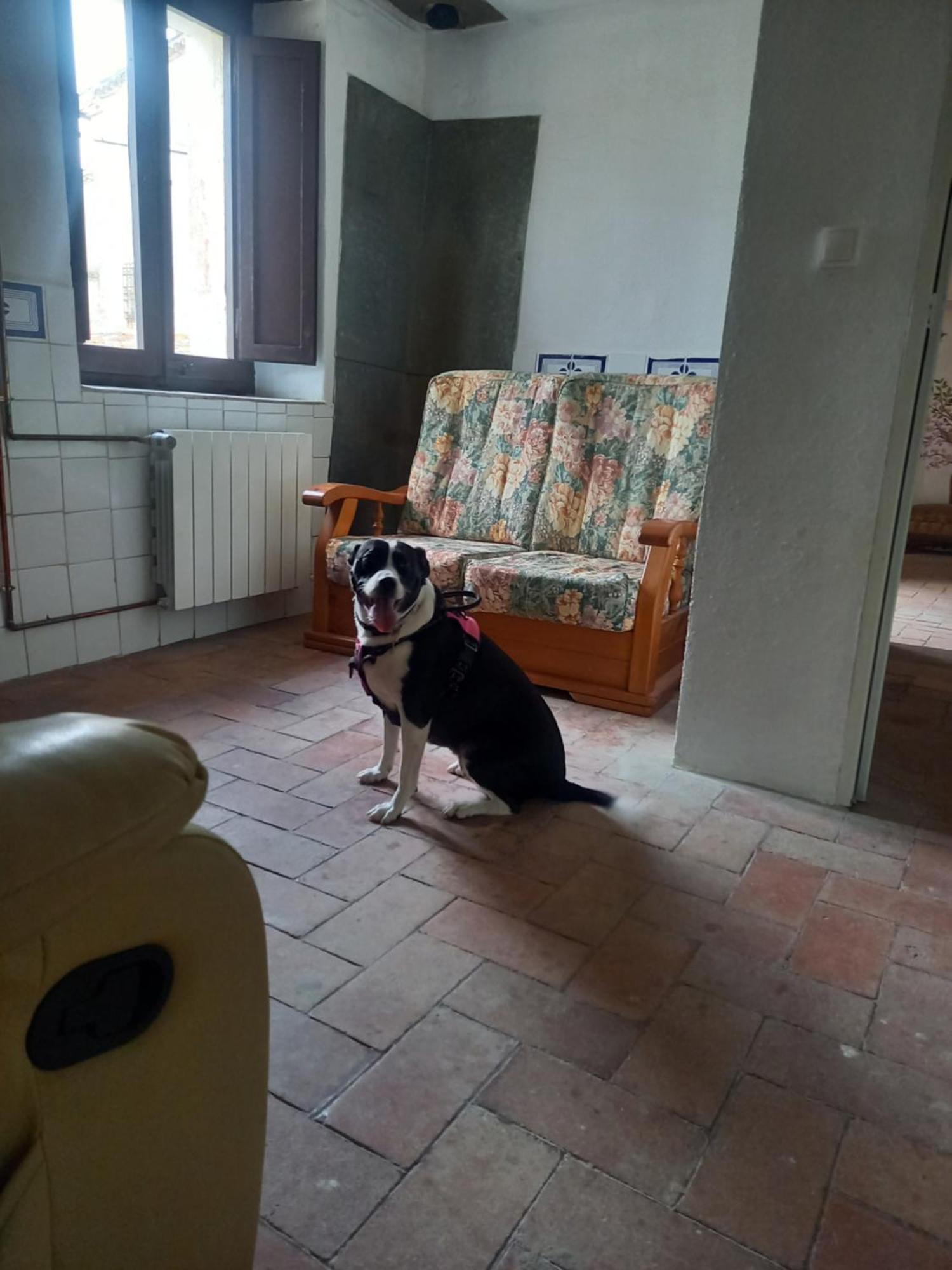 Hostal Rural Mas Blanc San Martin de Centellas Luaran gambar